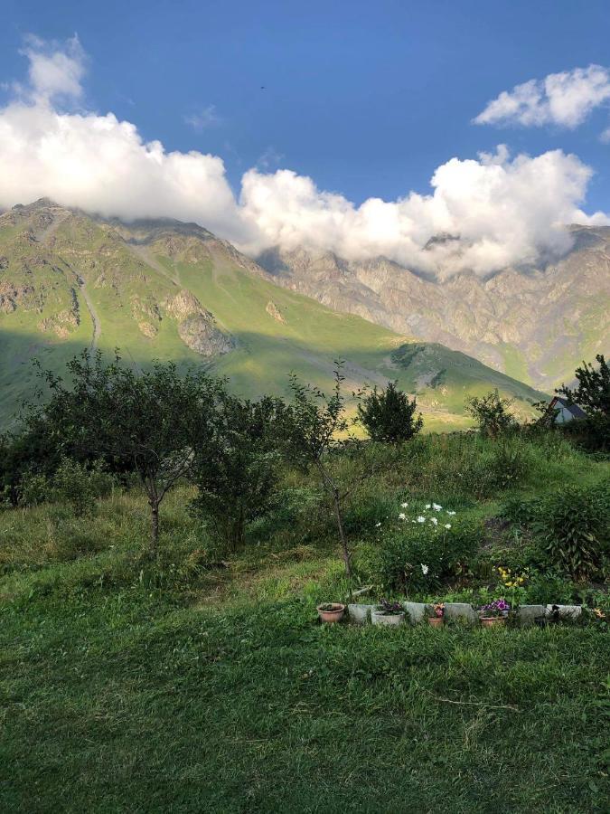 Mikheil Pitskhelauri Guest House Kazbegi Eksteriør bilde